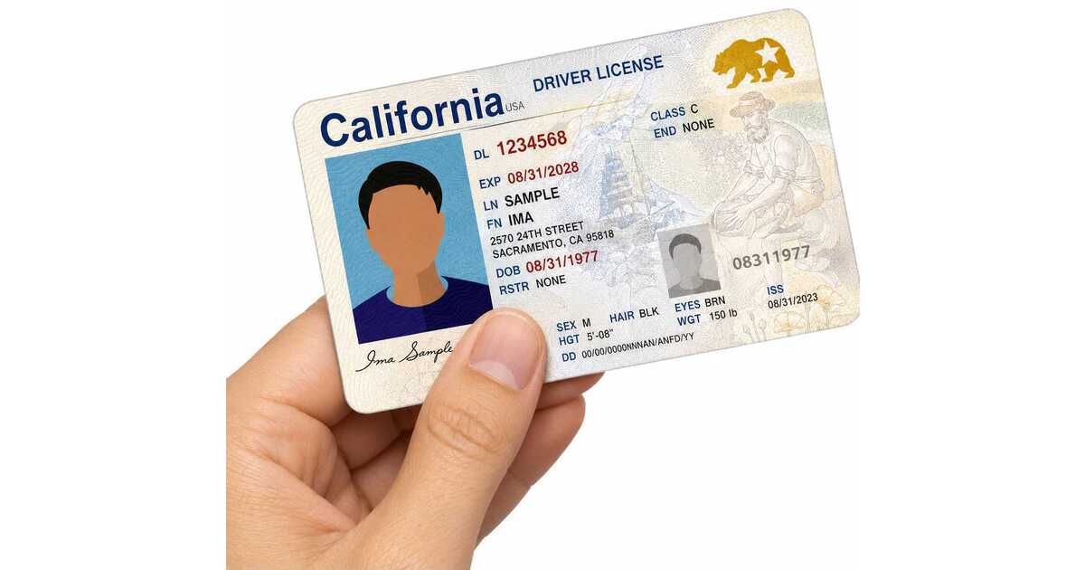 1 DRIVING SCHOOL - DMV Certified Driver Education and Training